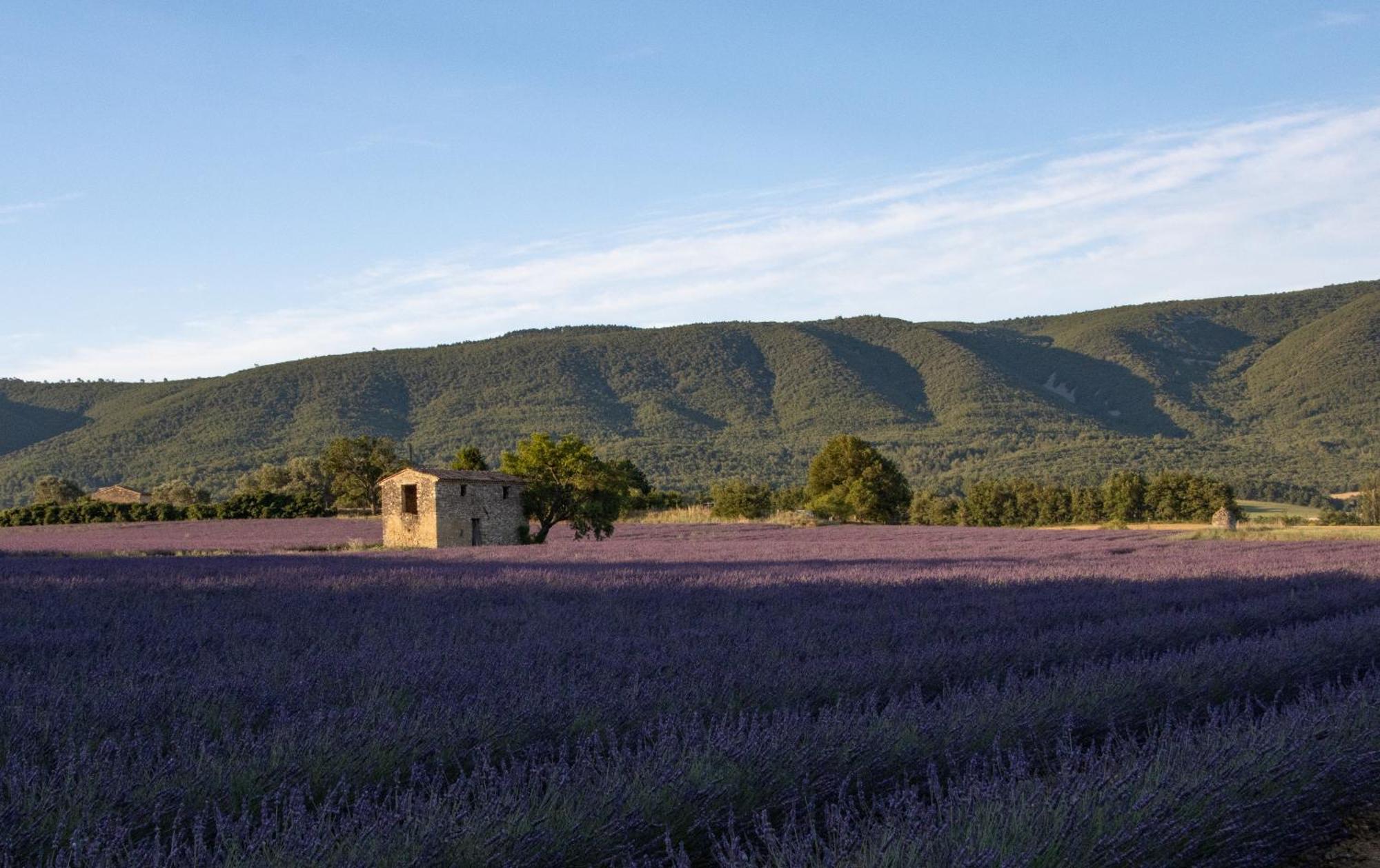 Studio Dans Le Luberon Cereste Екстер'єр фото