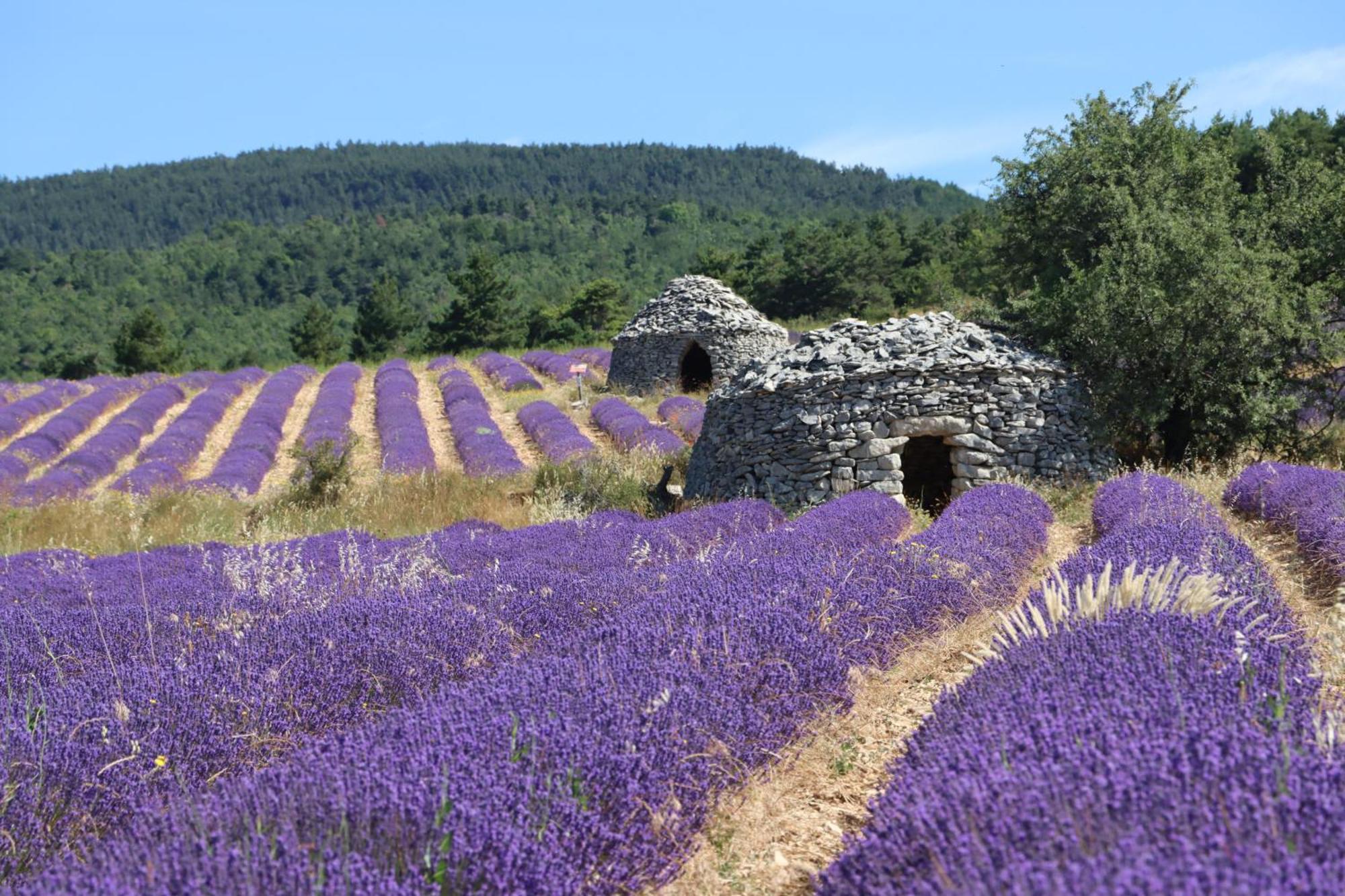 Studio Dans Le Luberon Cereste Екстер'єр фото