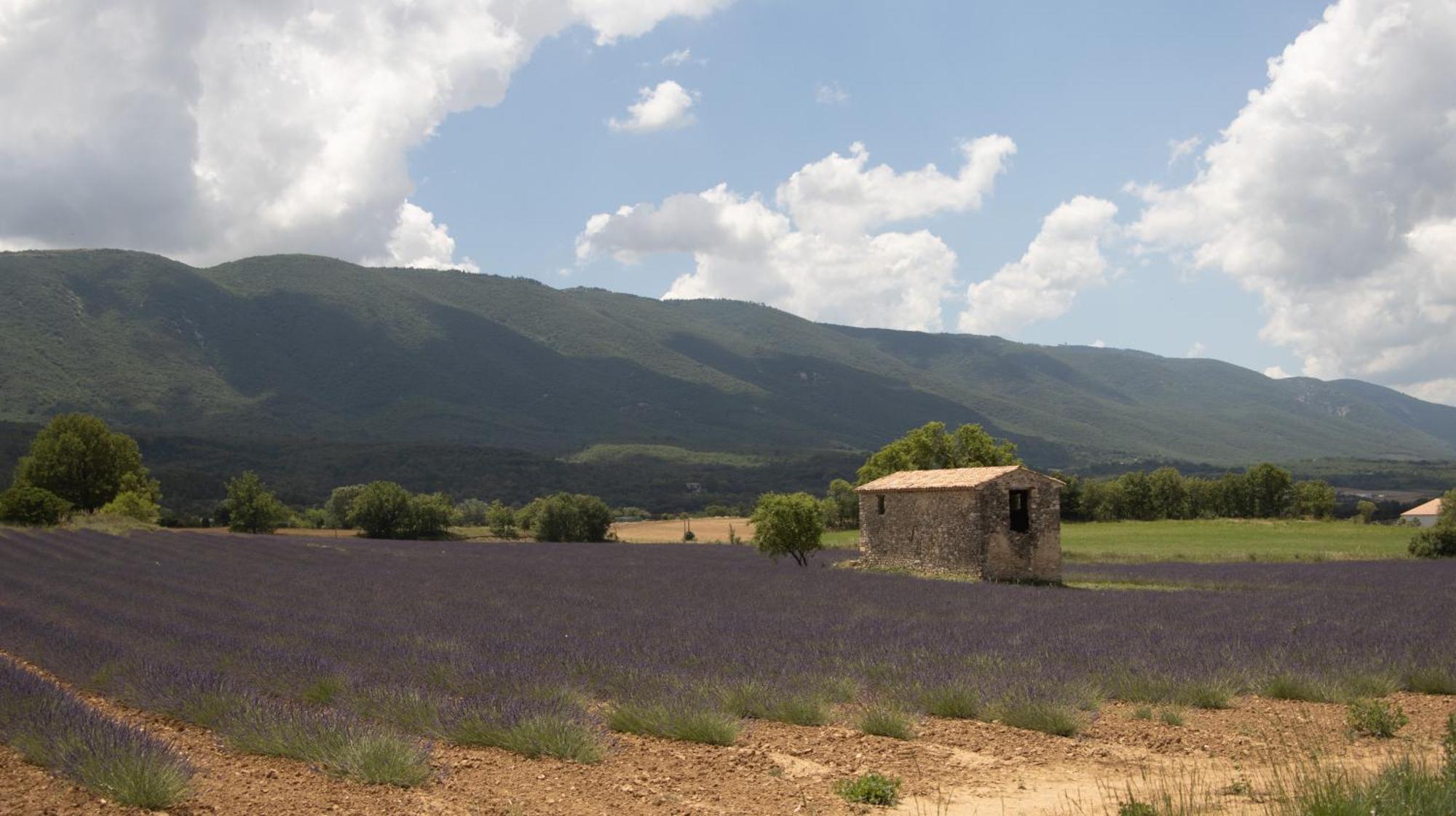 Studio Dans Le Luberon Cereste Екстер'єр фото